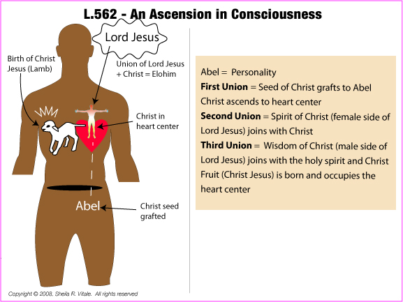 L.562.M.AN ASCENSION IN CONSCIOUSNESS